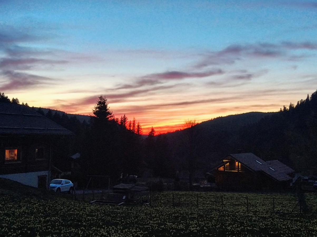 Chalet Des 3 Marmottes Villa Xonrupt-Longemer Kültér fotó